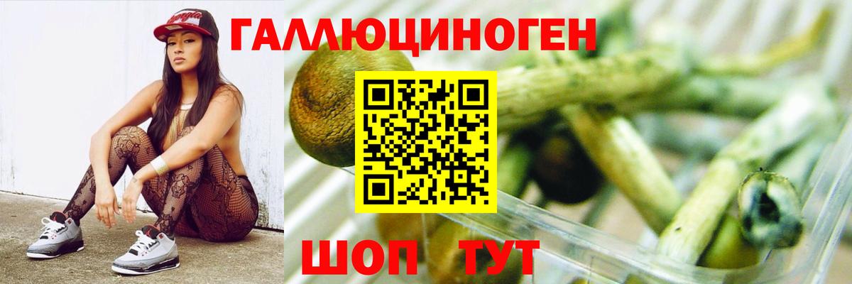 Усть-Илимск  Галлюциногенные грибы мухоморы  Псилоцибиновые грибы мицелий  Вход с VPN 